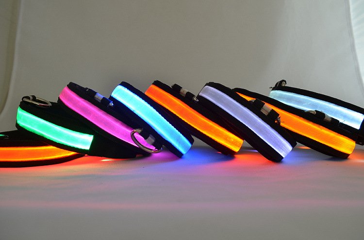 LED Light Up Collar
