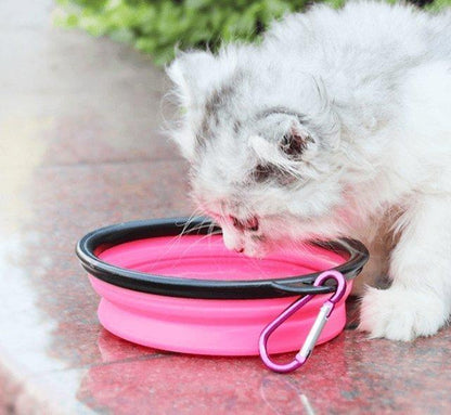 2 In 1 Feeding Travel Set