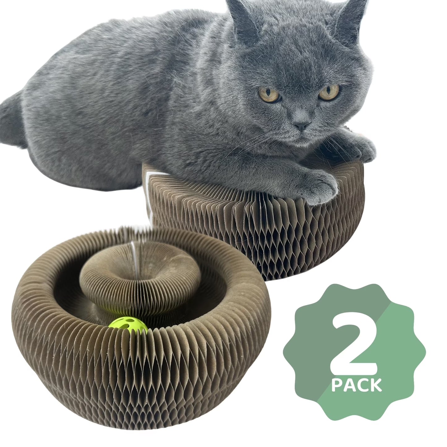 Kitty Kurlz Magic Accordion Cat Scratching Board - Interactive Cat Toy for Bored Indoor Adult Cats, Fun & Durable Cat Toys 2Pack