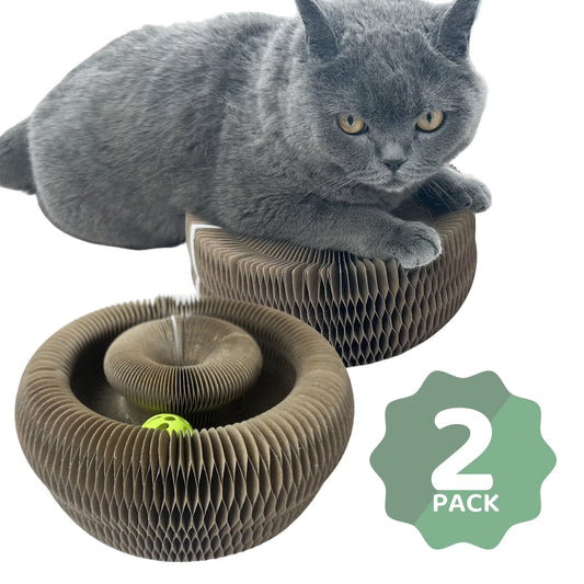 Kitty Kurlz Magic Accordion Cat Scratching Board - Interactive Cat Toy for Bored Indoor Adult Cats, Fun & Durable Cat Toys 2Pack