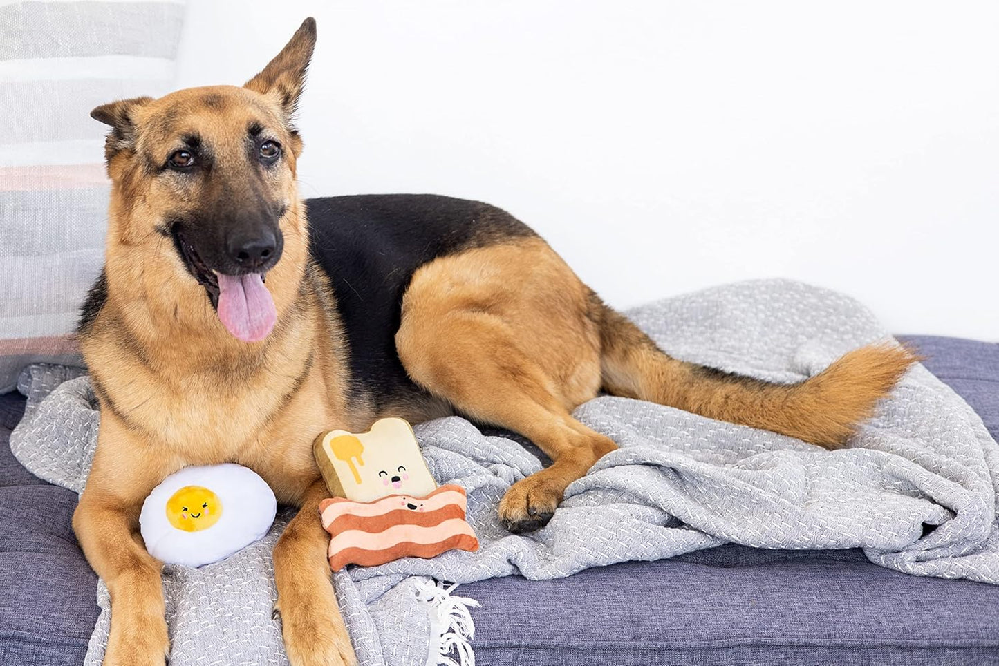 Breakfast Dog Toy Set – 3-Piece Bunch Food Theme (Egg, Toast & Bacon) with Squeaker & Crinkle Paper – Interactive Pet Toy for Puppies & Dogs, Stocking Stuffer Ideas