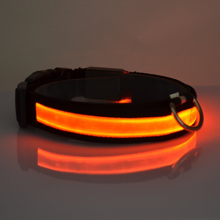 LED Light Up Collar