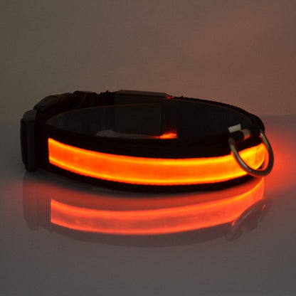 LED Light Up Collar