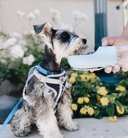 2 IN 1 PORTABLE PET FEEDER