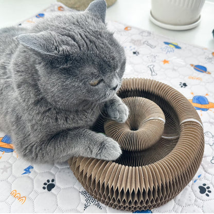 Kitty Kurlz Magic Accordion Cat Scratching Board - Interactive Cat Toy for Bored Indoor Adult Cats, Fun & Durable Cat Toys 2Pack