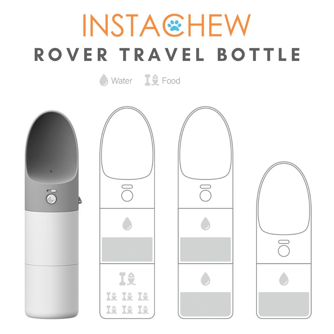 Rover Travel Water Bottle