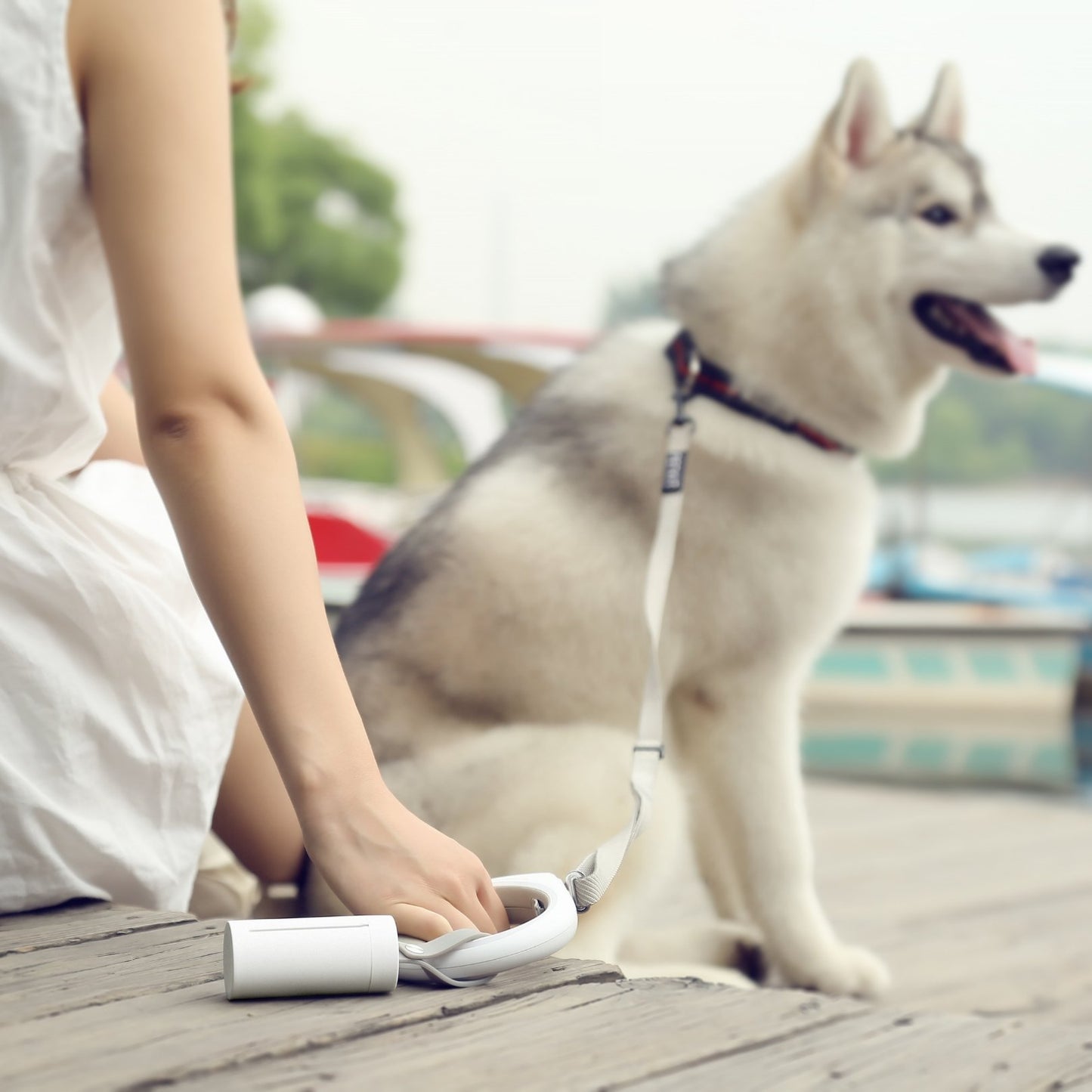 Person holding a white waste bag dispenser next to a dog on a wooden deck