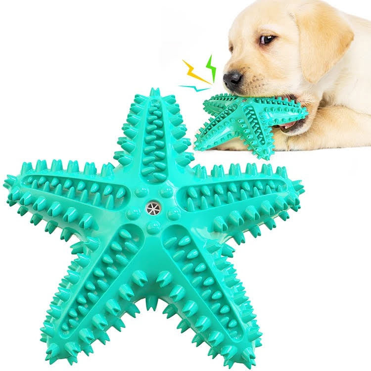 Dog playing with a green star-shaped chew toy on a white background