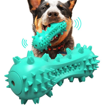 Dog playing with a green textured dog toy on a white background