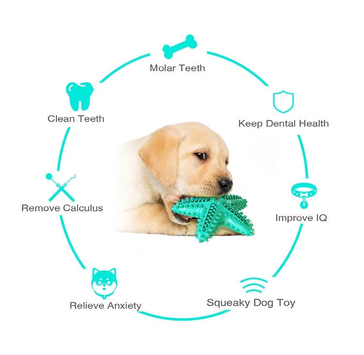 Dog holding a green star-shaped toy with health benefits listed around it on a white background.