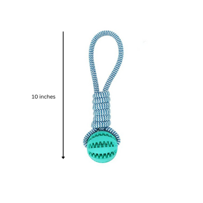 Teal dog toy with a rope and measurement label on a white background