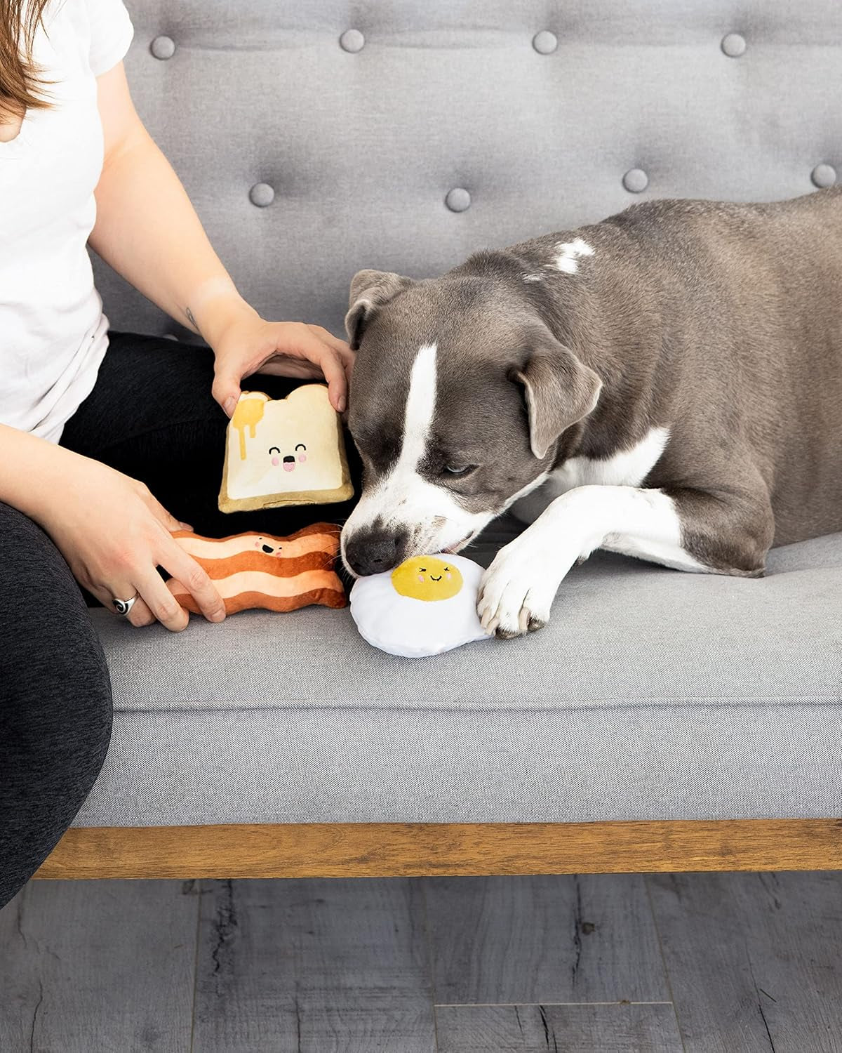 Breakfast Dog Toy Set – 3-Piece Bunch Food Theme (Egg, Toast & Bacon) with Squeaker & Crinkle Paper – Interactive Pet Toy for Puppies & Dogs, Stocking Stuffer Ideas